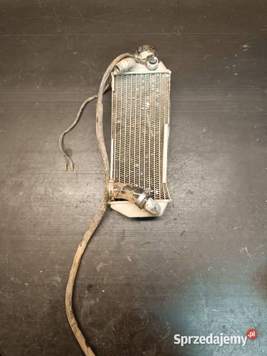 Chłodnica prawa wody cieszy korek części Suzuki małopolskie