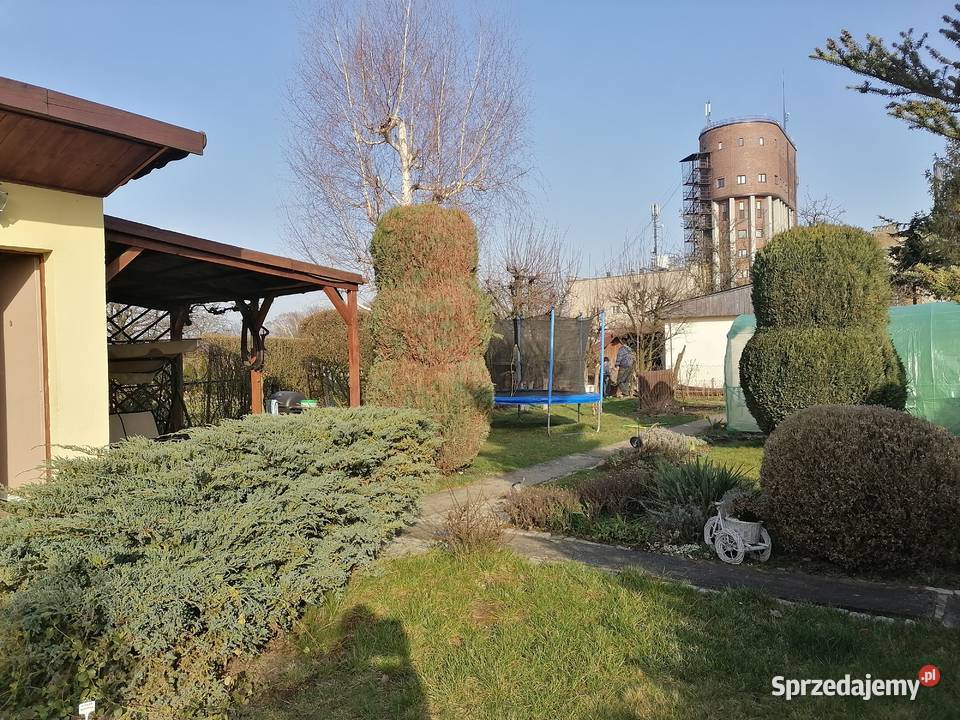 Działka rekreacyjnaogródek działkowy rekreacyjna Sprzedaż sprzedam