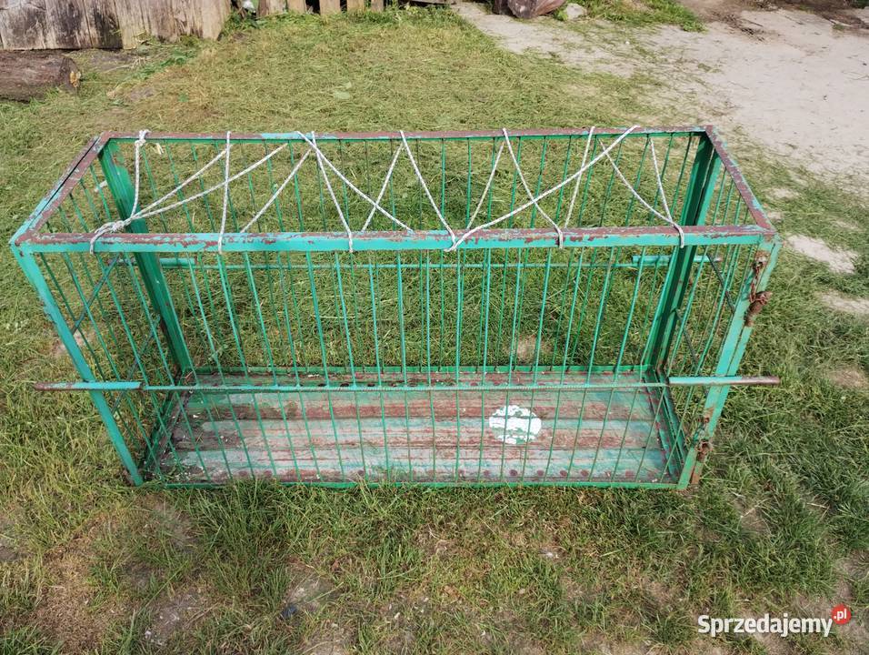Klatka do przewozu świń 45 Stopnica