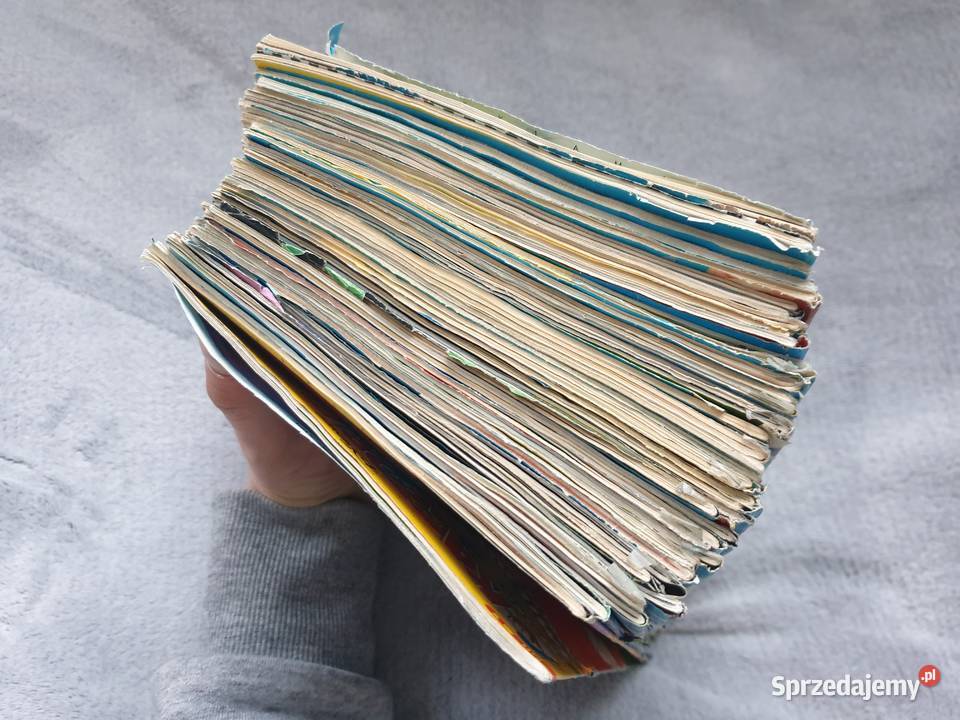 Kaczor Donald zestaw Gdynia