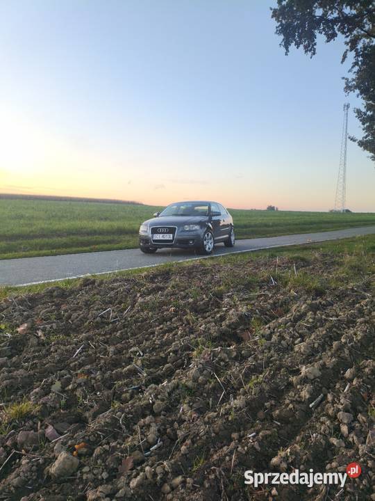 Audi A3 8p Zbytków