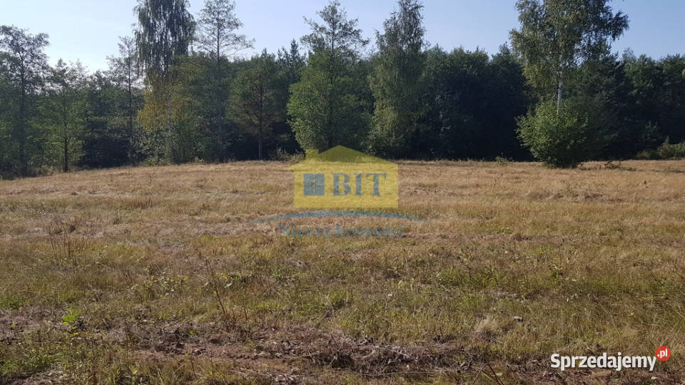 Działka 212 ha jeziorze Drawskim Kluczewo