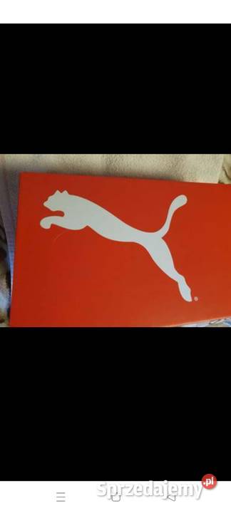 Buty sportowe wielkopolskie