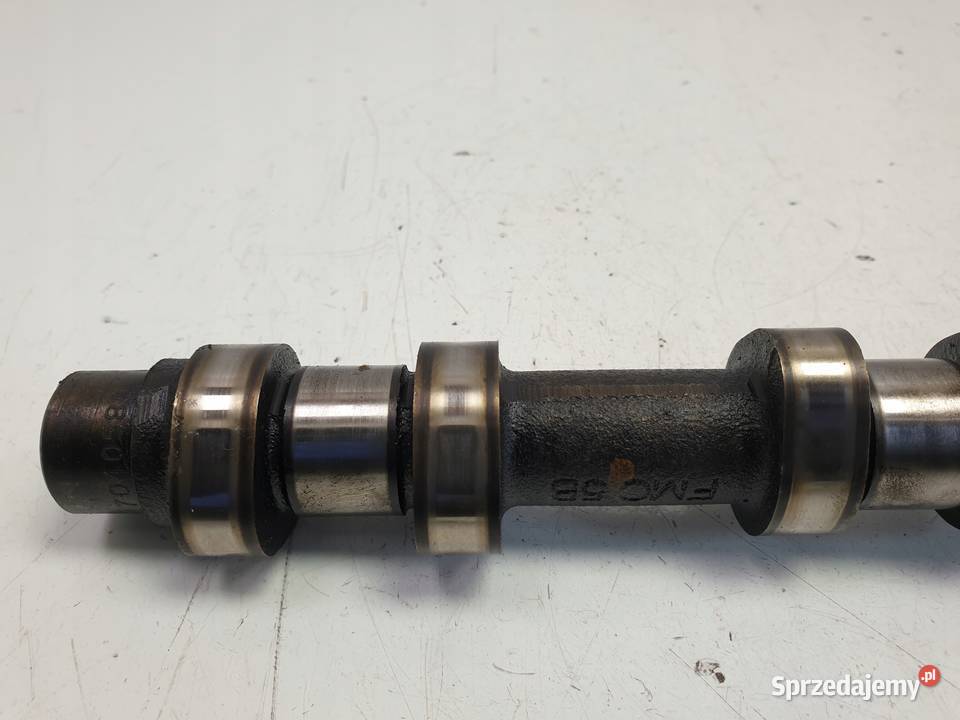 WAŁEK ROZRZĄDU Lancia Phedra 22 JTD ssący lubelskie Chełm