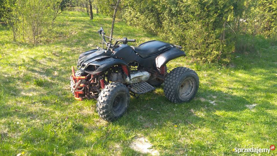 Kingway Cat 200 podkarpackie Połomia