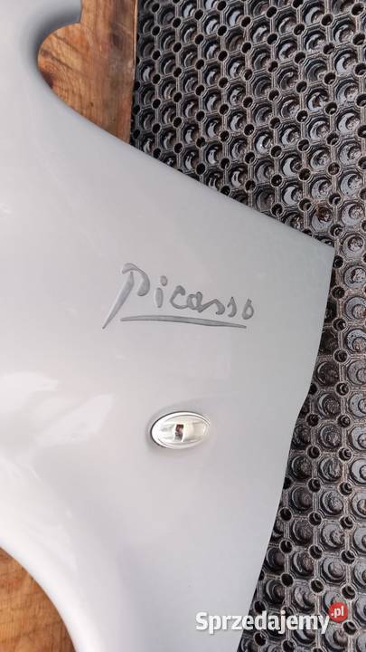 CITROEN XSARA II LIFT BŁOTNIK PRZÓD LEWY KNAC