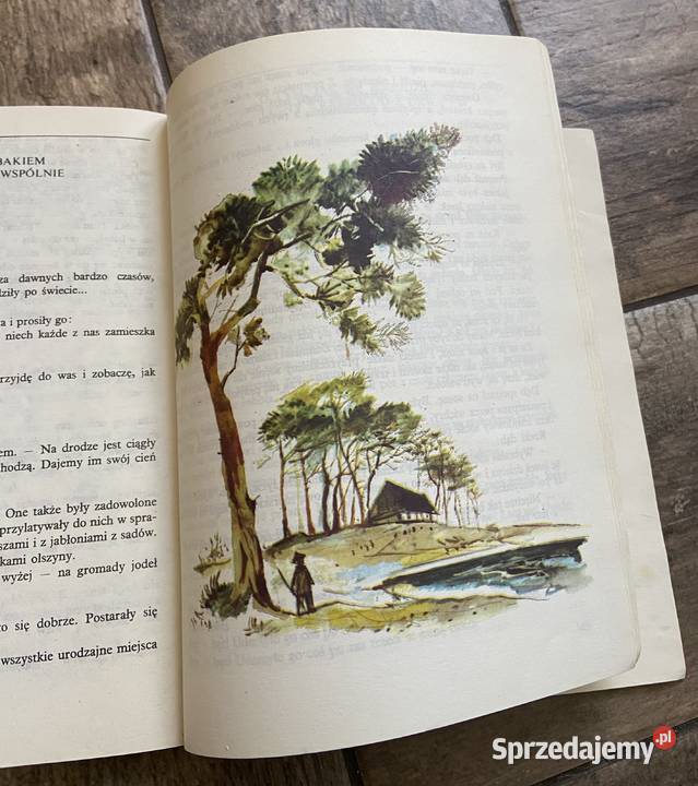 Ewa Szelburg Zarembina różową szybkę Szancer Błażejowice