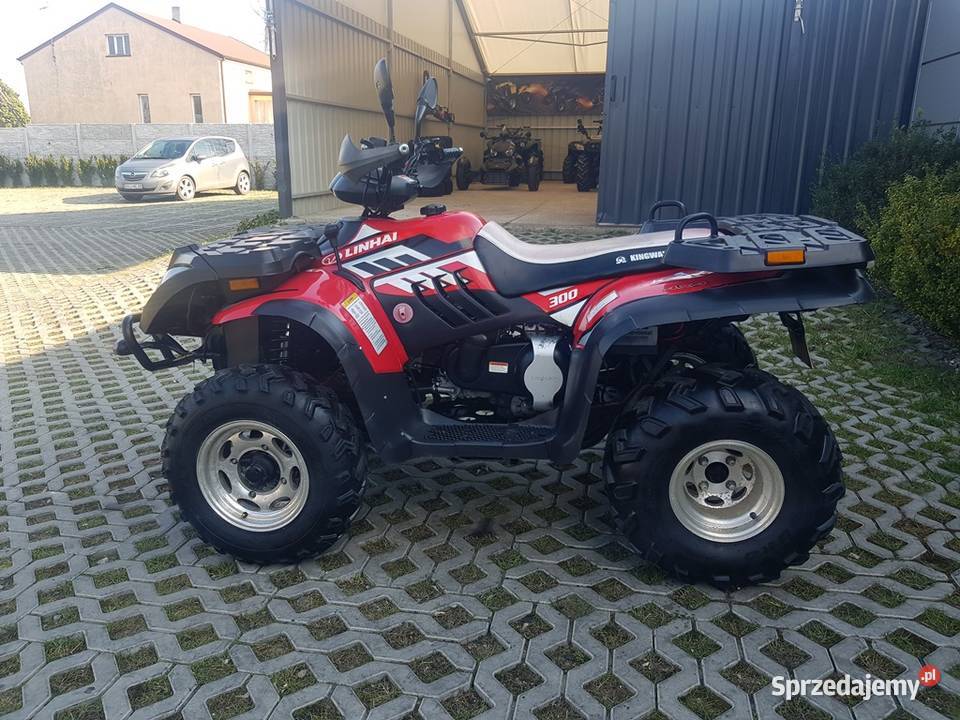 LINHAI MUDDY 300 Dostawa Serwis Kutno