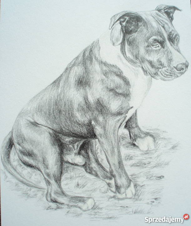 Wykonam portret na zamówienie Oryginalny prezent