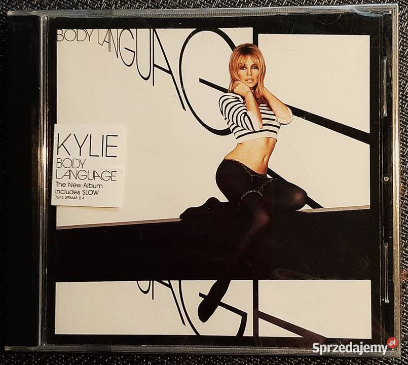 Wspaniały Album CD CELINE DION One Heart CD Katowice