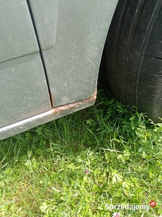 Opel Niewodna