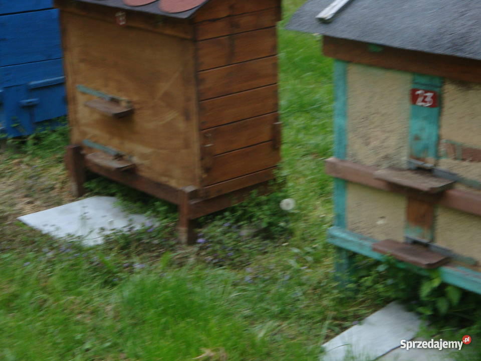 Pszczoły ule Mętów