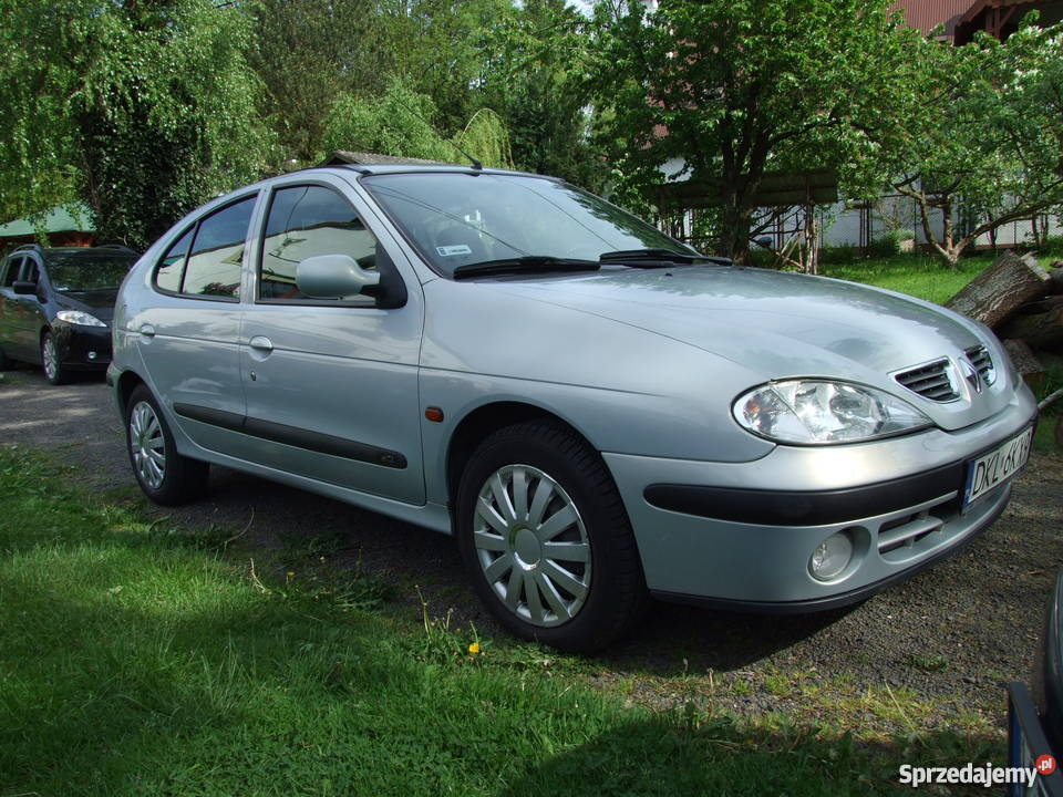 Renault Megane 1.9 dCi, 2001, pierwsza rejestracja 2002 r