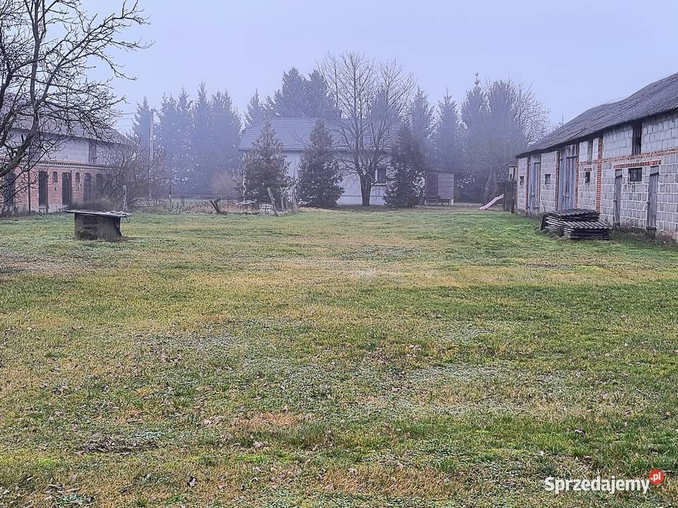 Dom z dużą działką i zabudowaniami gospodarczymi Zaświatycze