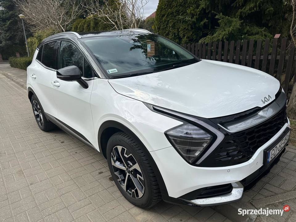 Kia Sportage 16 TGDI MHEV Business Line 2WD DCT Gdańsk