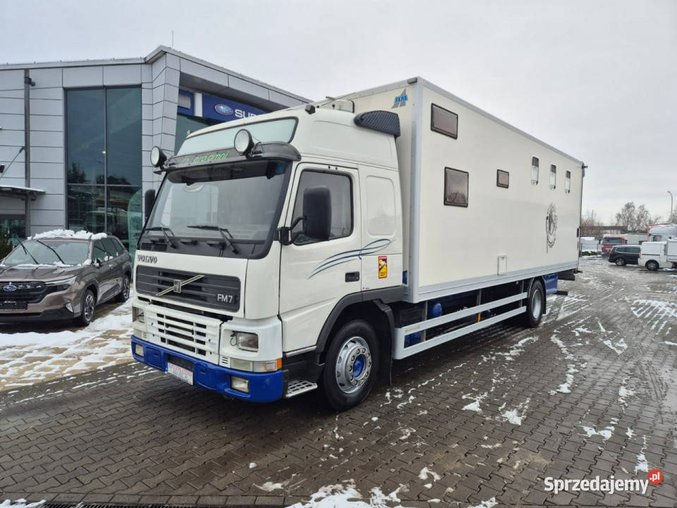 Volvo FM7 DO BYDŁA I KONI Volvo FM 7 DO PRZEWOZU 250KM Łaziska Górne