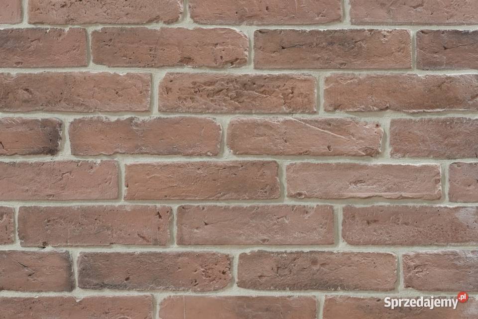 Płytki z cegły gotyckie Płytki ścienne Warszawa