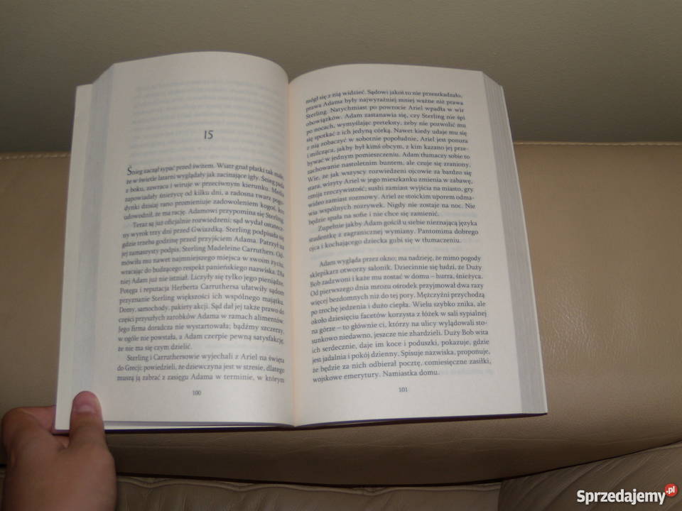 Książka pies Susan Wilson Proza i poezja Warszawa