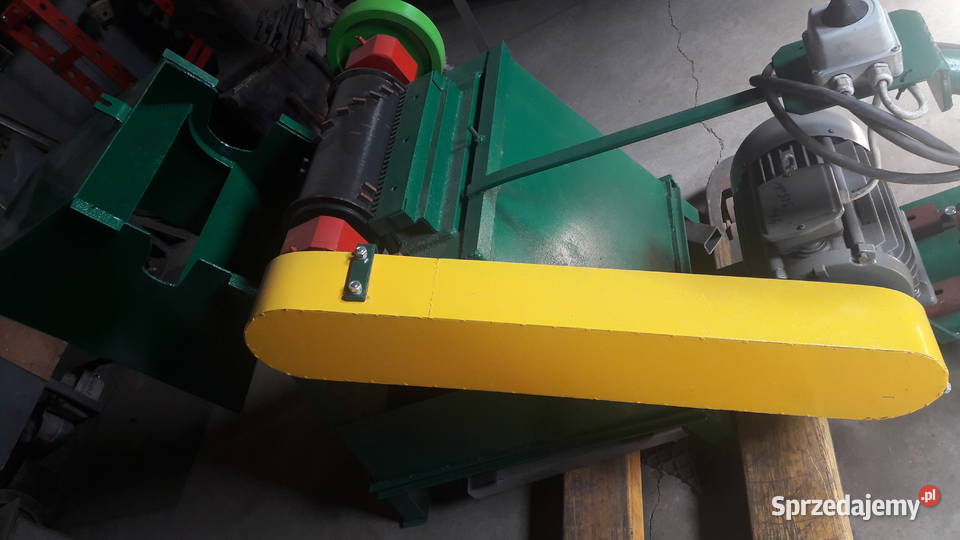 Kościarka wilk Radzewo sprzedam