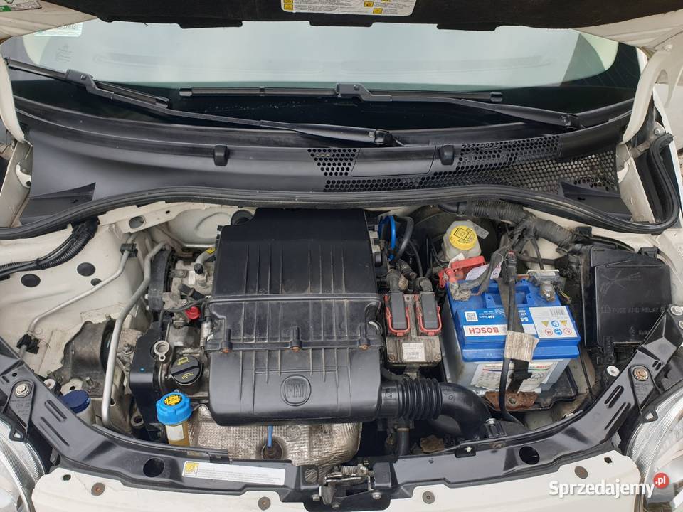 Fiat 500 Hatchback podkarpackie