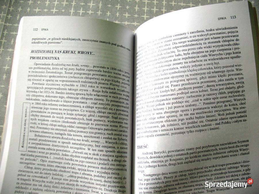 Młoda Polska Omówienia lektur książka polska Siedlce