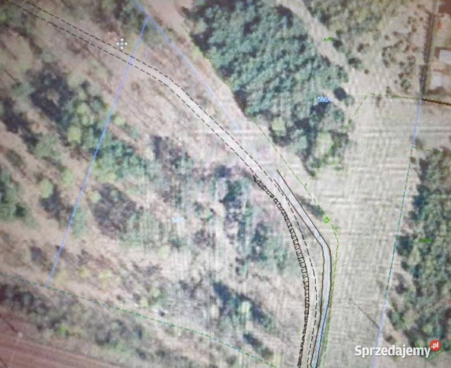 Dzialka lesna mozliwosc budowy domku woda Sprzedaż Czarna