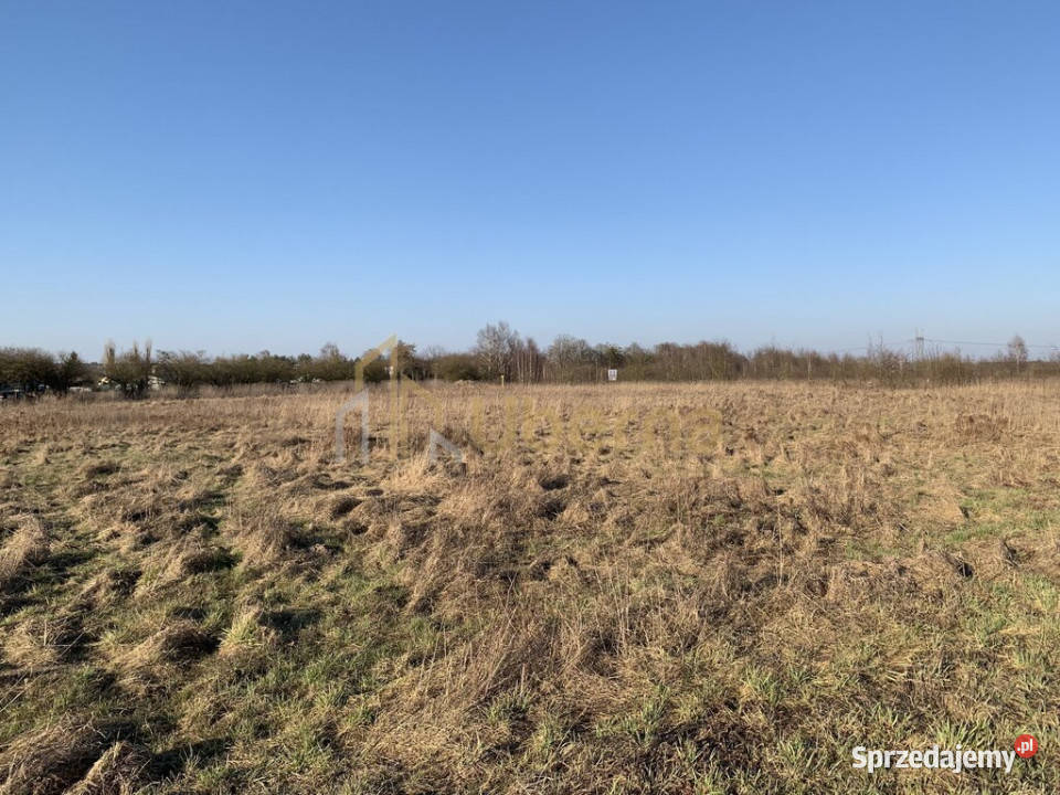 Działki inwestycyjne pod Goleniowem rolna Żółwia Błoć