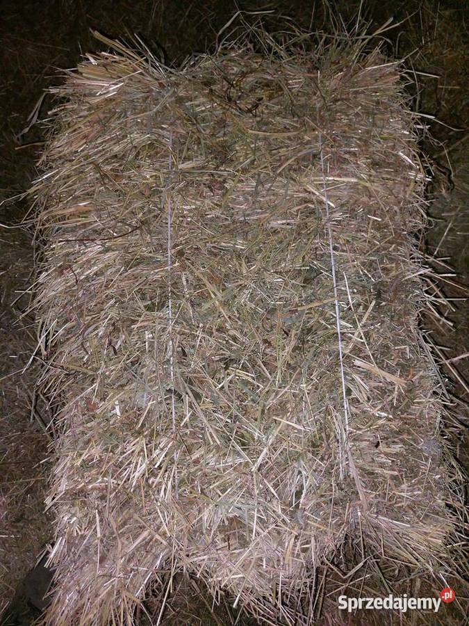 siano kostka podkarpackie