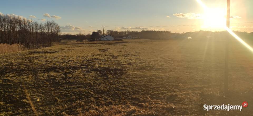 Działka rolna 98 arów z warunkami zabudowy 17 Kopanino