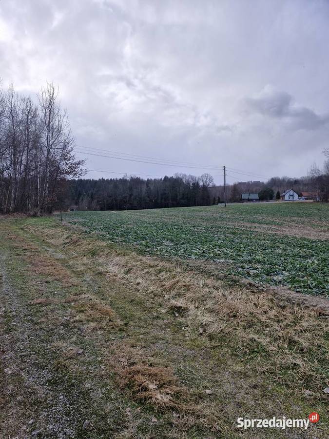 Sprzedam działkę 175ha budowlano rolna las Gruszów