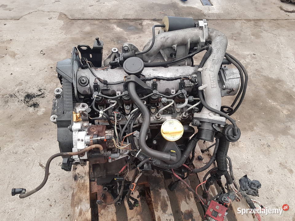 RENAULT SCENIC II MEGANE II ESPACE SILNIK 19 DCI Rok produkcji 2005 Silniki kompletne Turkowice