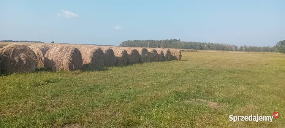 Sprzedam słomę Hańsk-Kolonia