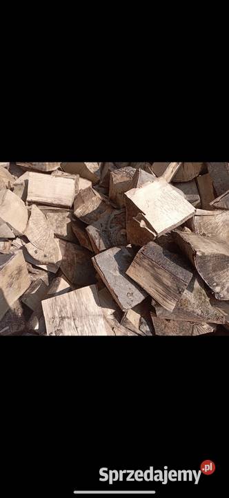 Sprzedam drewno kominkowe i opałowe Pozostałe