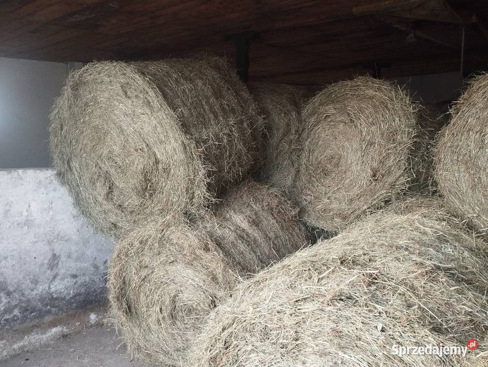 Siano Trawy, słoma łódzkie Pustkowa Góra