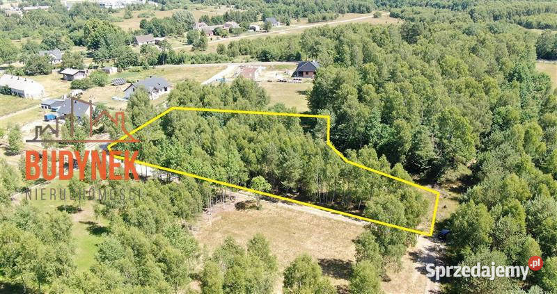 Działka budowlana Kowalewice 100m sprzedam