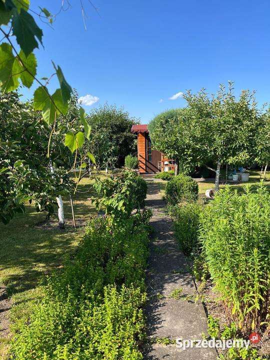 DZIAŁKA ROD STOKROTKASprzedam Opole