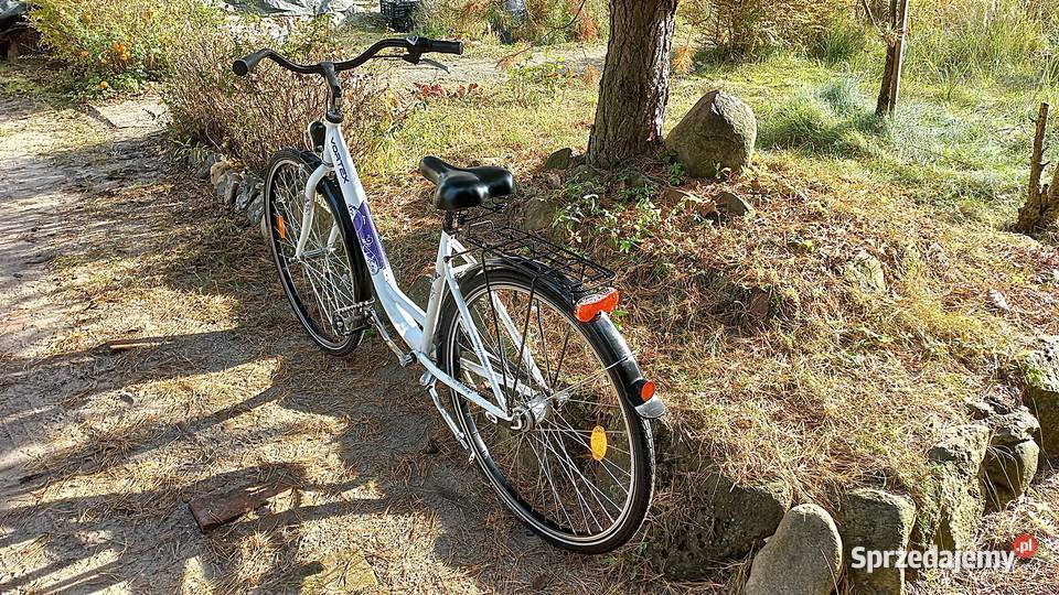 Rower Miejski Damski Vortex City 200 Łabędź Niska Rama 28 Wołów