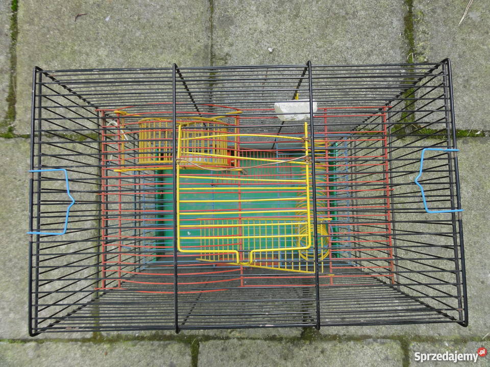 piętrowa klatka chomika świnki gryzoni dolnośląskie Wrocław
