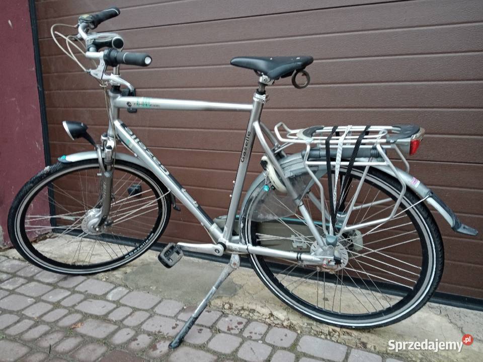 Gazela Sparta Gazela Damka Sakwy Żółkiewka-Osada