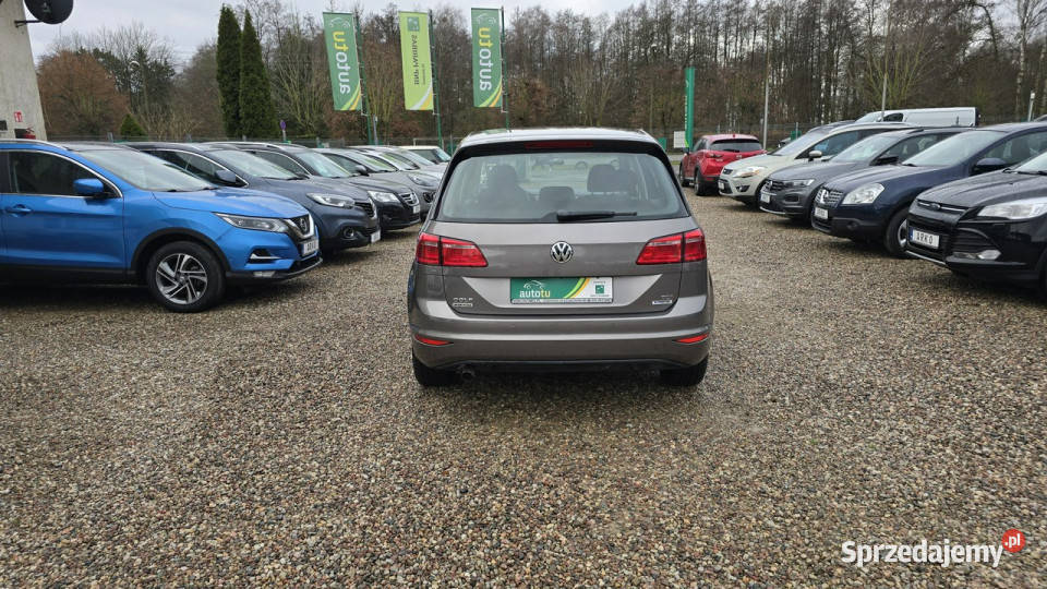 Volkswagen Golf Sportsvan DSG Serwisowany I 2014 Zieleniewo