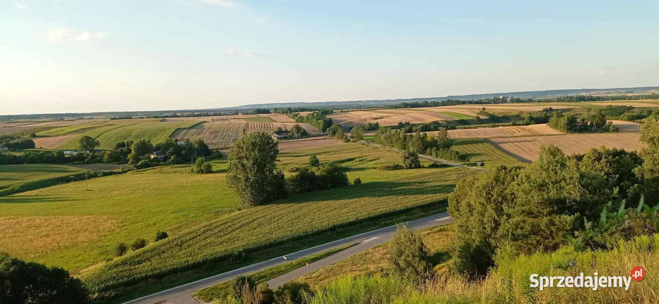 Sprzedam dom na wzgórzu Byczów kPińczowa Pińczów