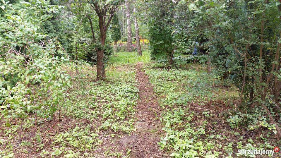 Działka w POD Wirnik Warszawa Bemowo 378m2