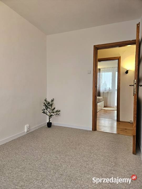 Świetne mieszkanie 3 pokoje Dąbrowa do 3 piętra i więcej Łódź