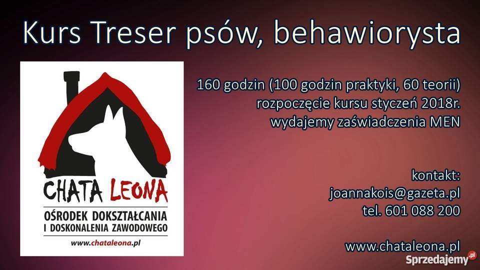 Kurs Treser psów Pozostałe usługi Wrocław