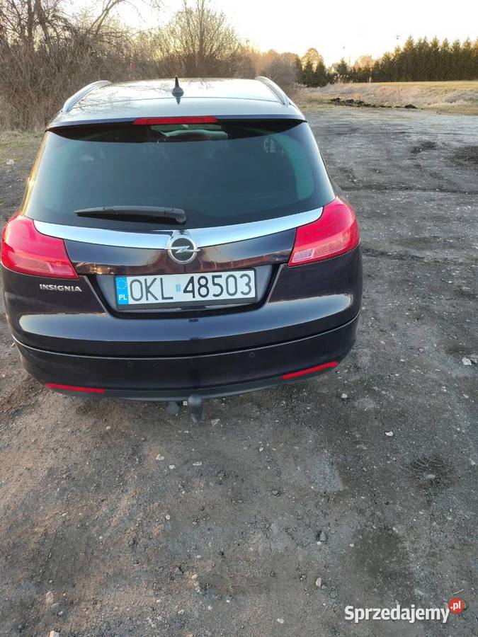 Opel Insignia Kluczbork