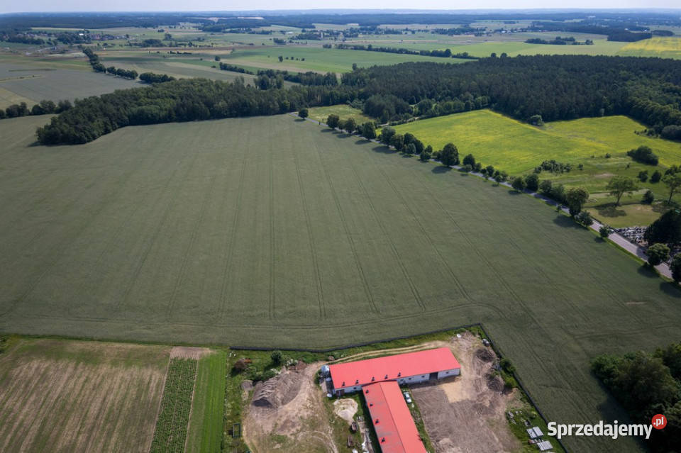 901 ha MPZP produkcja logistyka 1 S7 Białuty