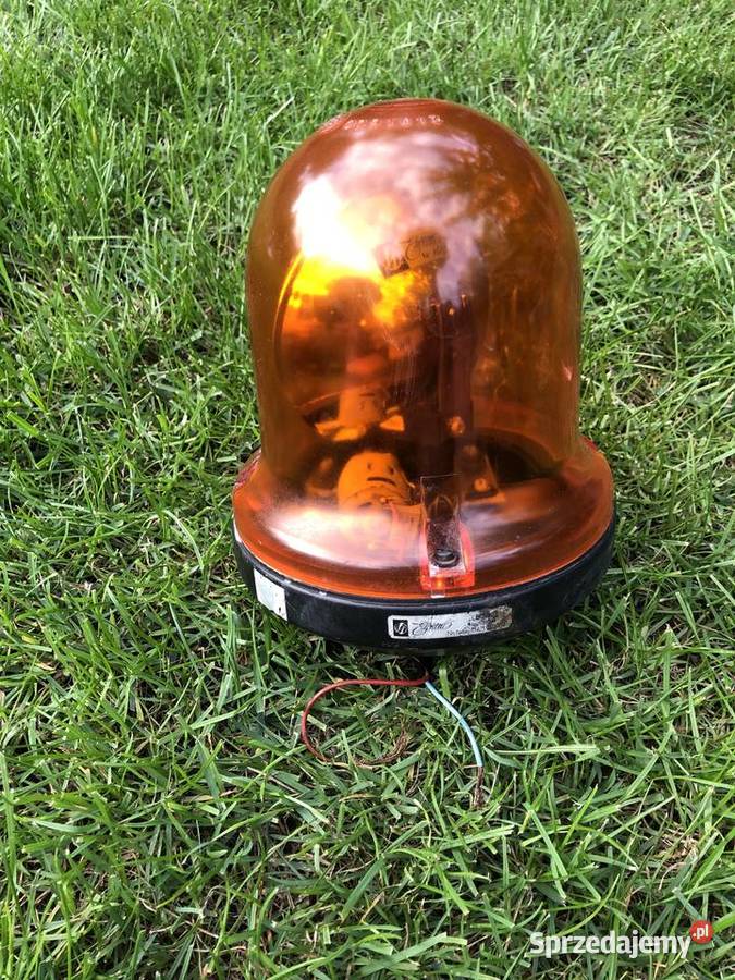 Kogut Lb10 Pozostałe Czarnków sprzedam