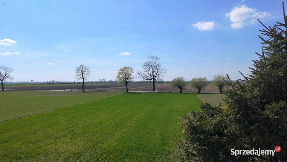 DZIAŁKI BUDOWLANE Dąbrowa gm Lądek powiat wielkopolskie