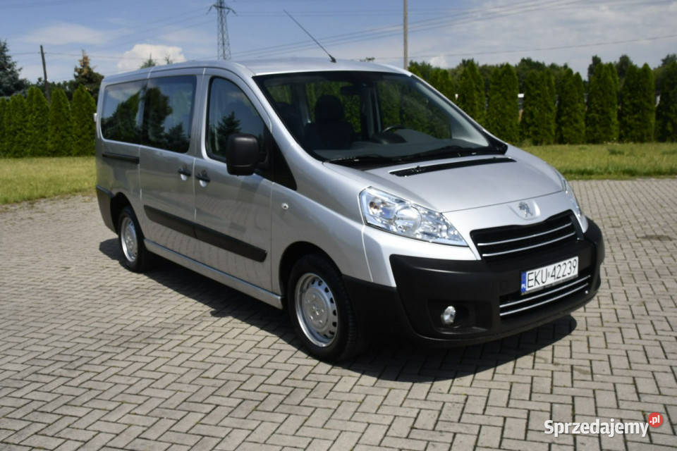 Peugeot Expert 20hdi DUDKI11 9 Kutno