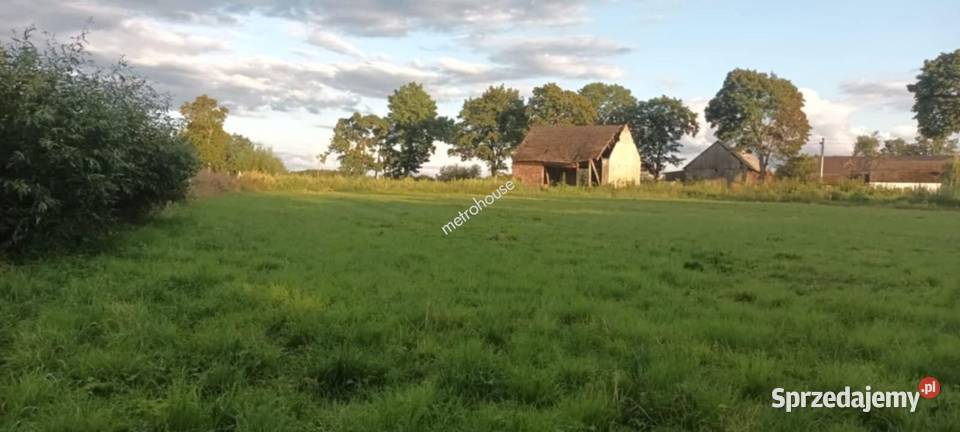 Działka inwestora Brzezie Trzebnica sprzedam